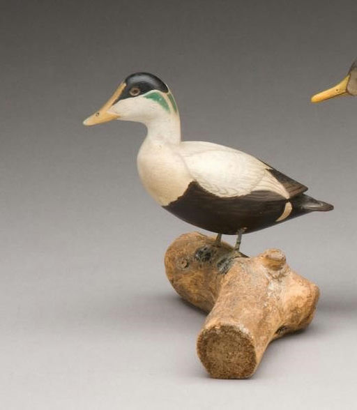 James Lapham – Miniature Eider – 2009
