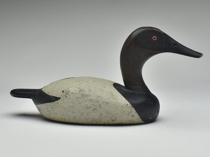 Sylvester Swedesky – Canvasback – 2023