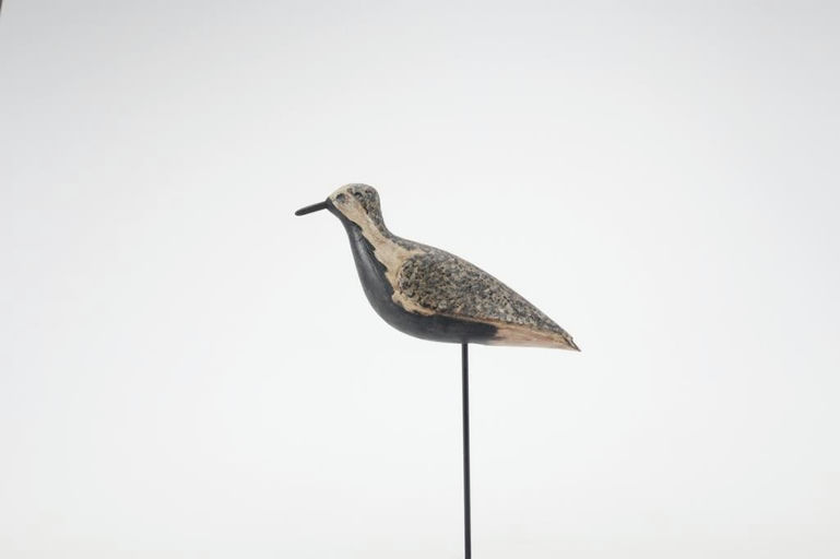 Daniel Lake Leeds – Black Bellied Plover – 2021