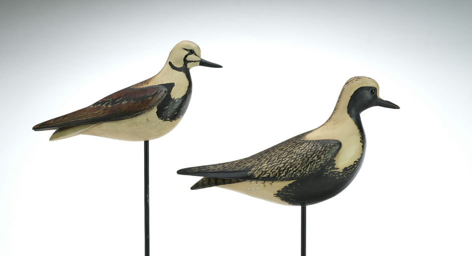 Bill Gibian – Shorebird – 2025