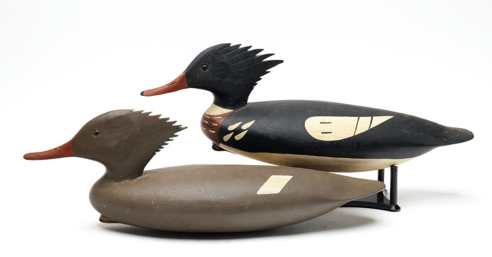 John Hamilton – Red-breasted Merganser – 2026