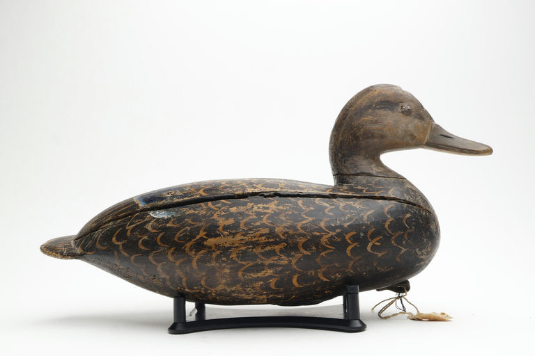 Ira Hudson – Black Duck – 2026