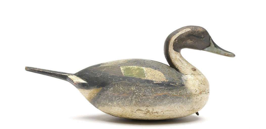 Reggie Birch – Pintail – 2025