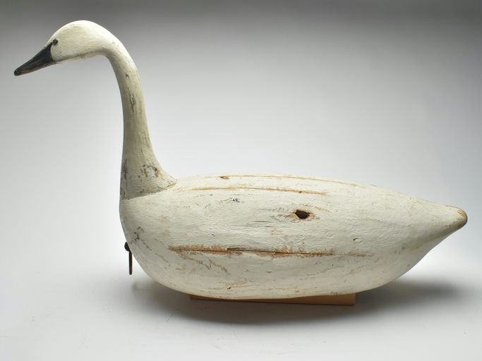 Reggie Birch – Tundra swan – 2023