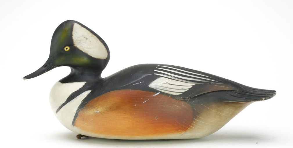 Sean Sutton – Hooded Merganser – 2024