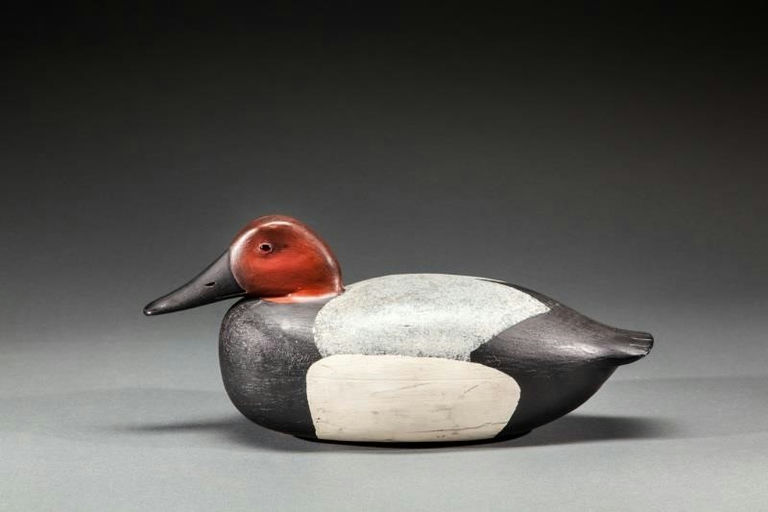 Lawrence McLaughlin – Canvasback – 2015