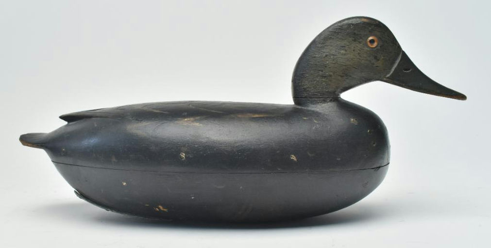 Dan English – Black Duck – 2023