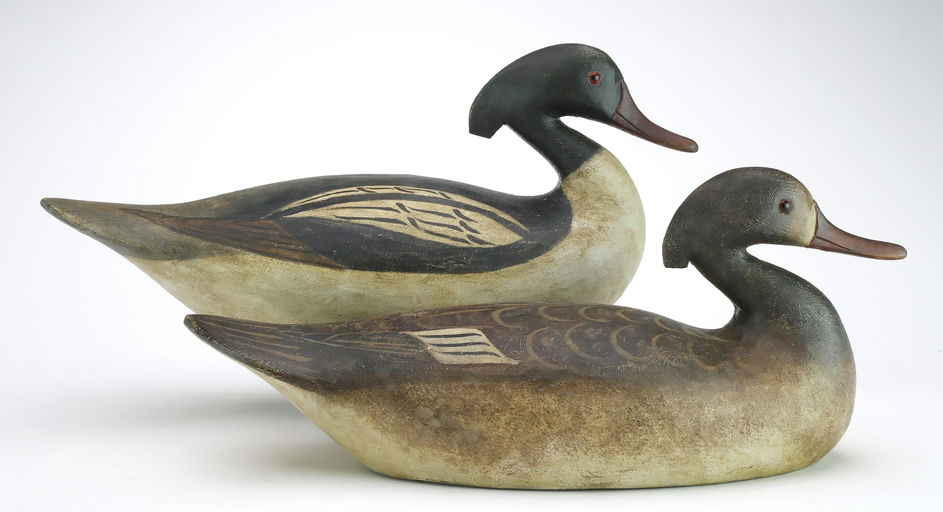Reggie Birch – Merganser – 2024