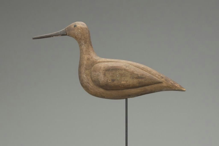 Jess Hepron – Rare Hudsonian Godwit – 2018