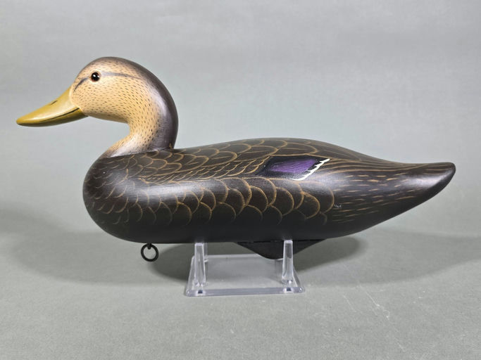 Charlie Joiner – Black Duck – 2026