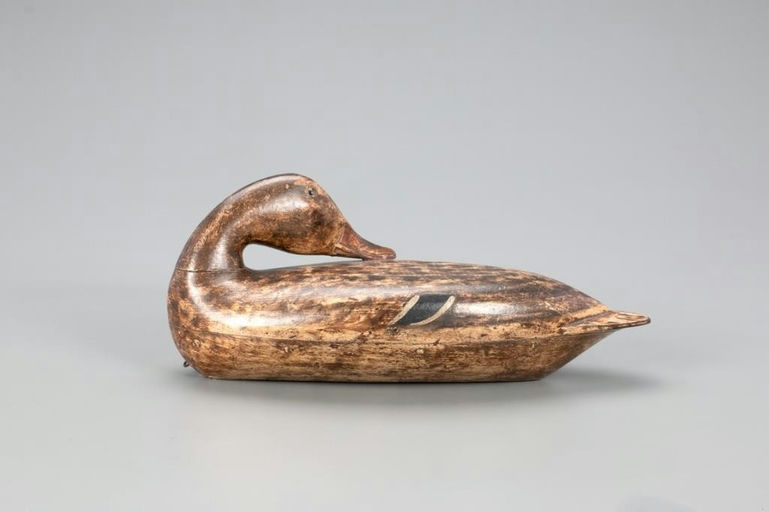 Robert Elliston – The French Elliston Sleeping Mallard Hen – 2021