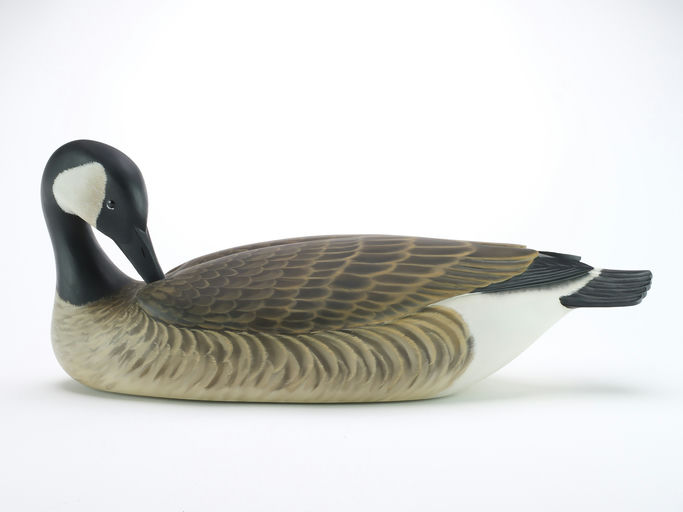 George Strunk – Preening Canada Goose – 2024