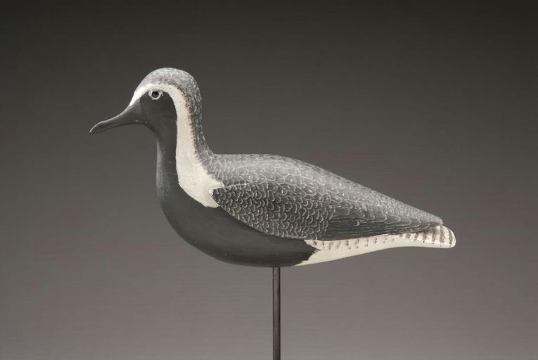 Tom Wilson – Black Bellied Plover – 2010