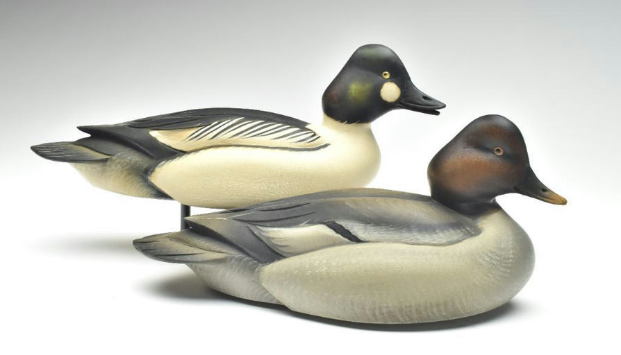 Sean Sutton – Pair of Goldeneye – 2023