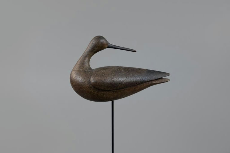 Mark McNair – Outstanding Hollow Preening Root-Head Shorebird – 2025