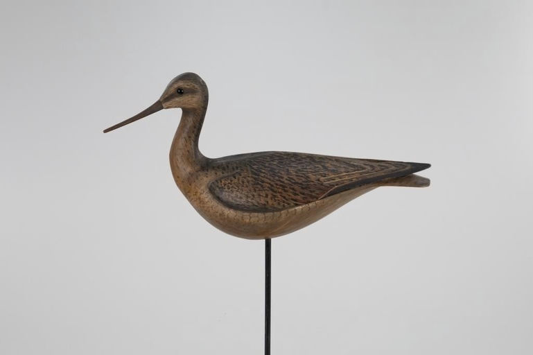 Bill Gibian – Godwit – 2026