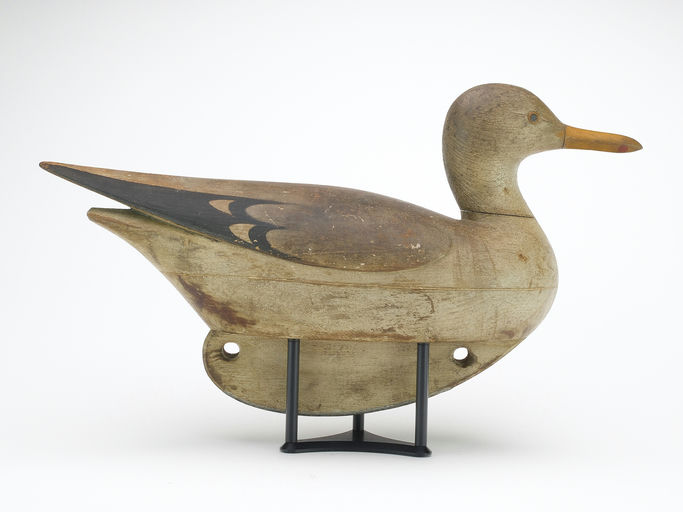 Mark McNair – Hollow carved Gull – 2024