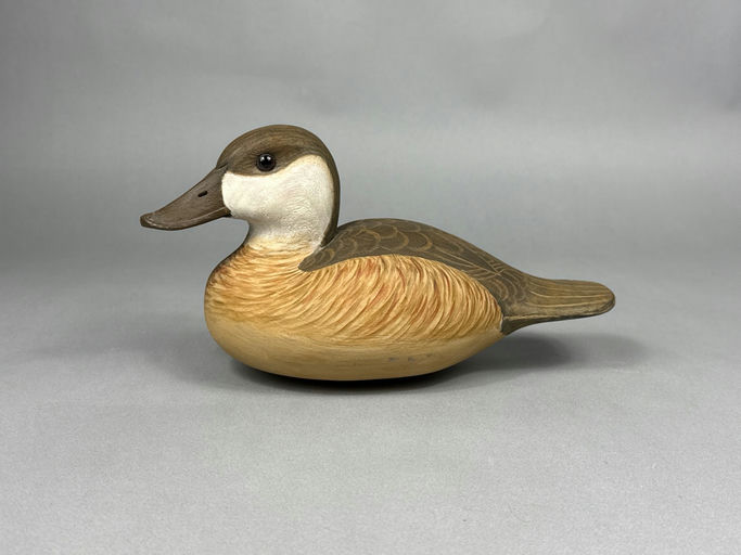 Cigar Daisey – Ruddy Duck – 2026