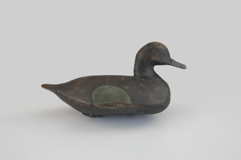 Ben Dye – Blue-Winged Teal – 2026