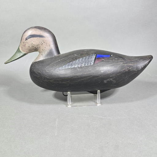 Jim Pierce – Black Duck – 2026