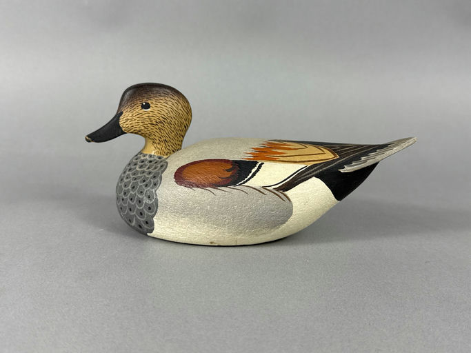Oliver Lawson – Gadwall – 2026