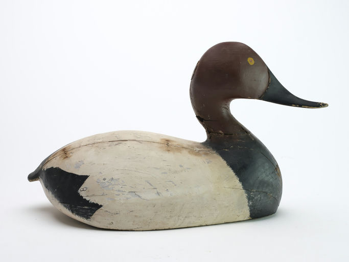 Ward Brothers – Early Canvasback – 2024