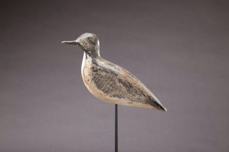Harry Gale – Black Bellied Plover – 2012