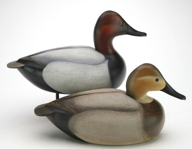 Ben A. Heinemann – Canvasback – 2024