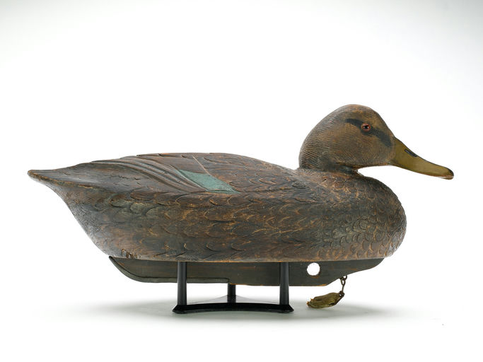 Ben Schmidt – Black Duck – 2025