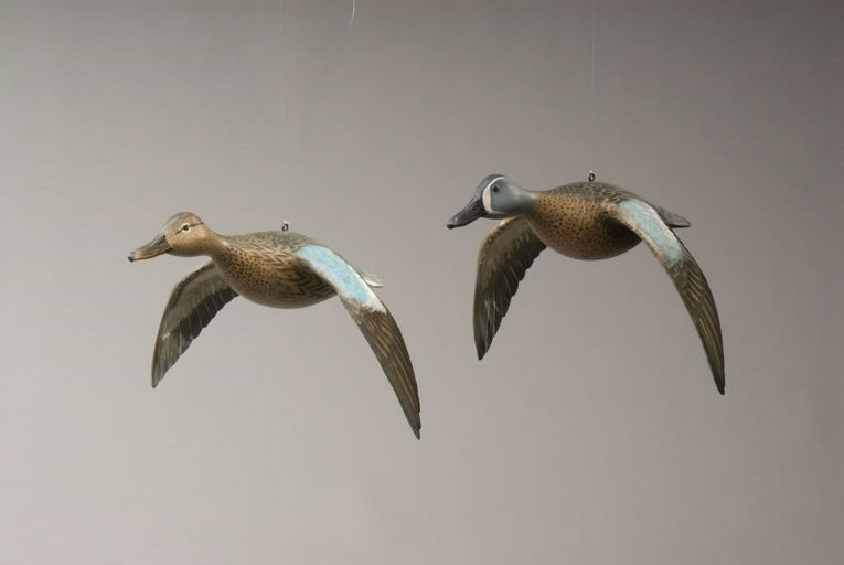 Mike Borrett – Blue-Winged Teal Pair – 2009
