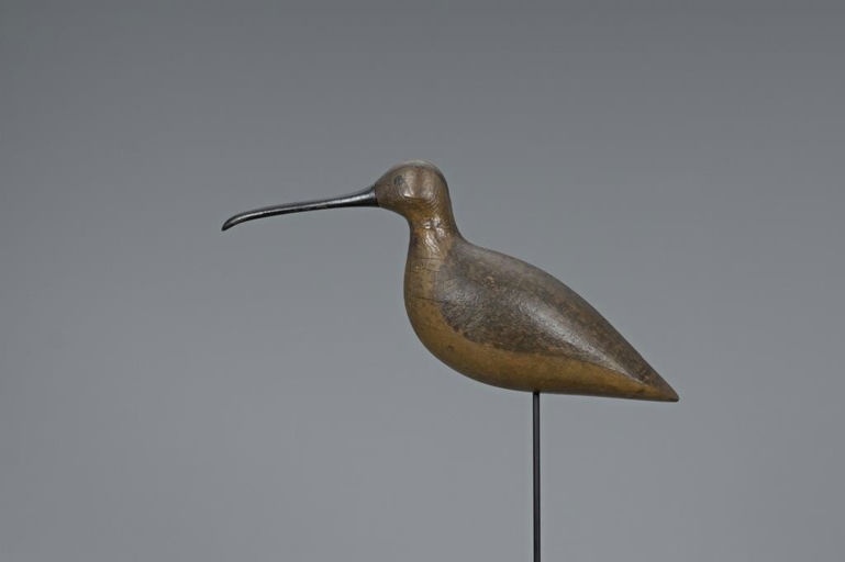 Harry V. Shourds – Curlew – 2019