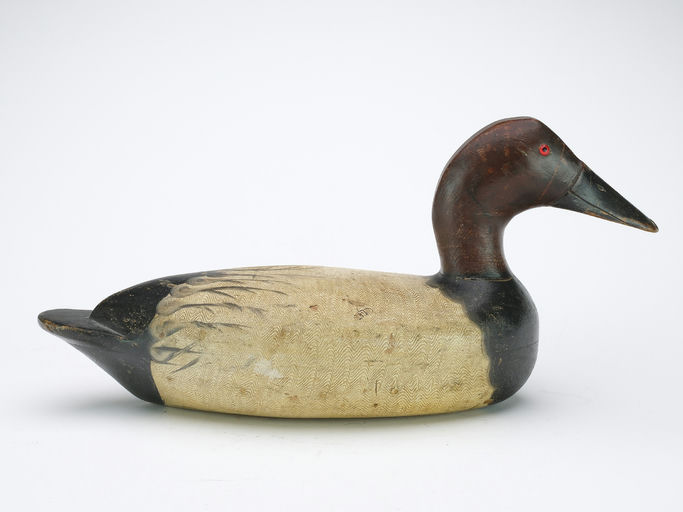 Bert Graves – Canvasback – 2024