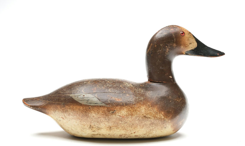 Mason Decoy Factory – Canvasback Hen – 2026