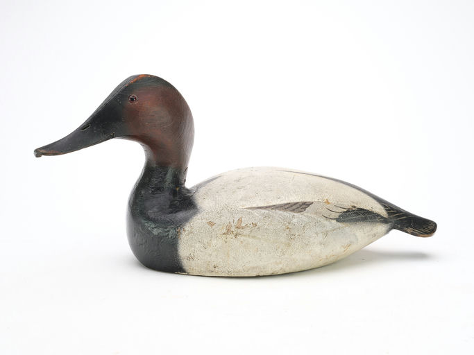 Ward Brothers – Canvasback – 2024