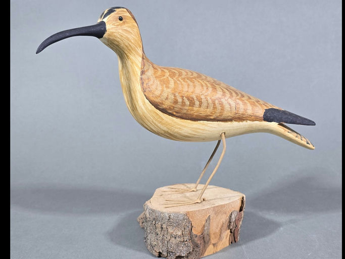 Herb Daisey – Curlew – 2026