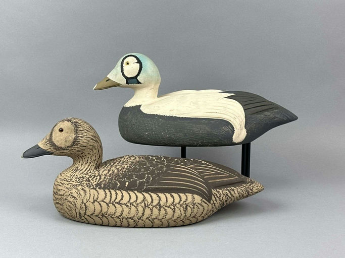 David Simandl – Spectacled Eider – 2026