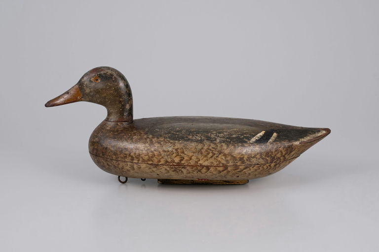 Charles Schoenheider, Sr. – Mallard Hen – 2026
