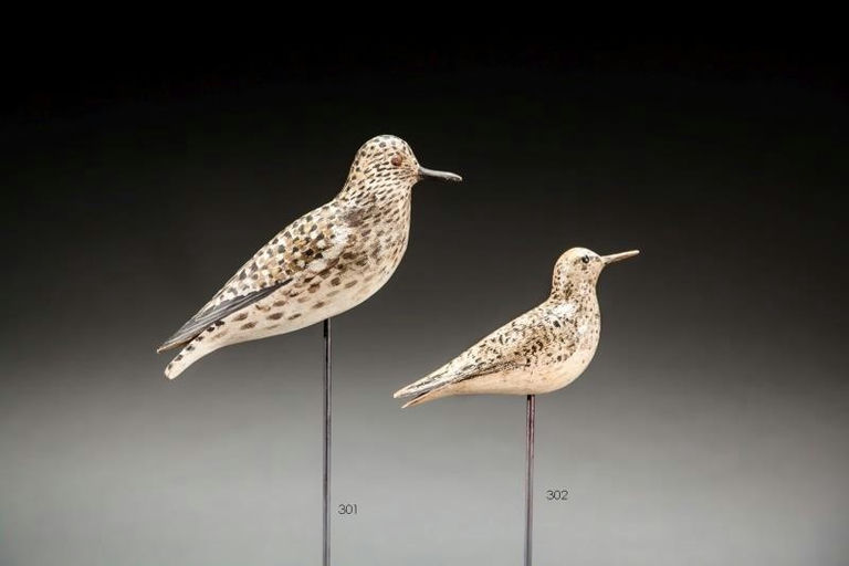 Elmer Crowell – Rare Sanderling – 2016