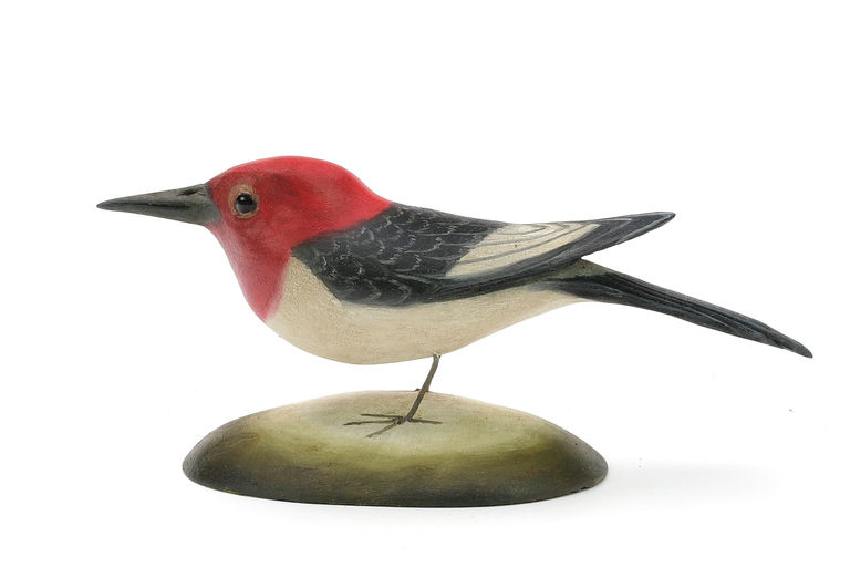 Frank Finney – Red headed woodpecker – 2024