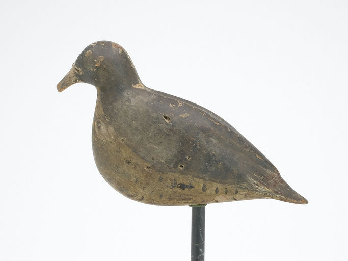 Dave "Umbrella" Watson – Sanderling – 2023