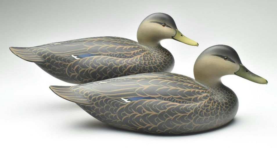 Oliver Lawson – Pair of Black Duck – 2023