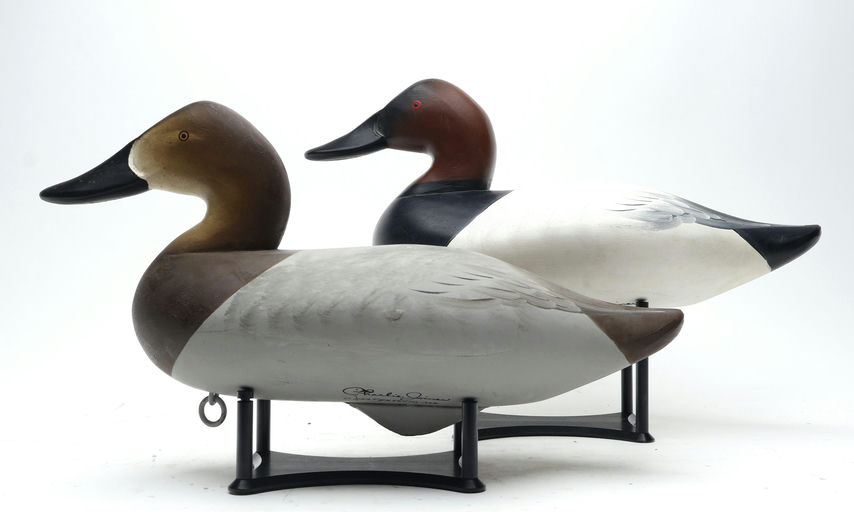 Charlie Joiner – Pair of Canvasback – 2026