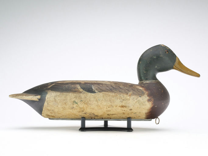 Robert Elliston – Mallard – 2024