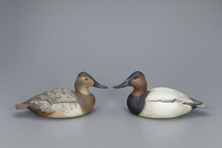 Ward Brothers – Canvasback Pair – 2019