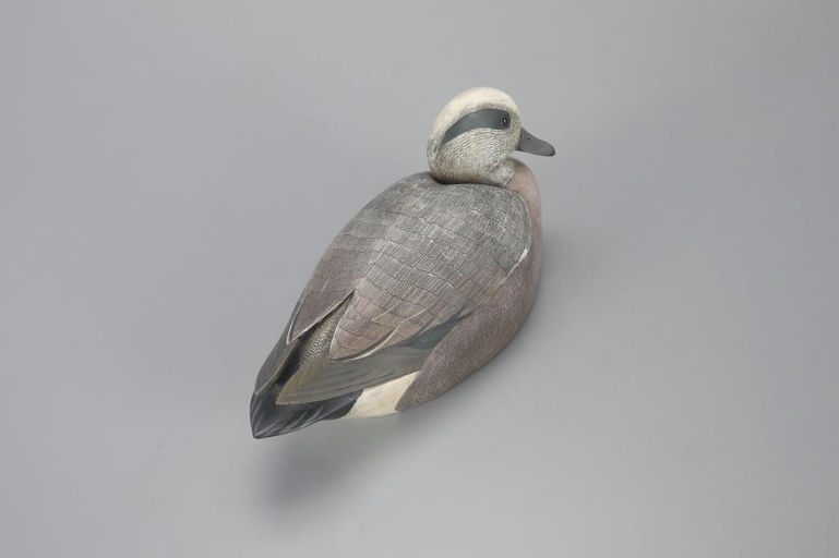 Frank Finney – Wigeon – 2023