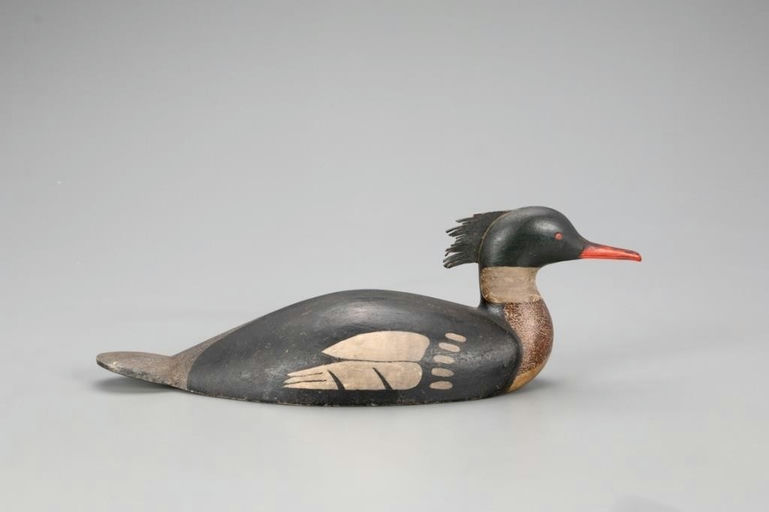 Gilbert Rafuse – Red-breasted Merganser – 2023