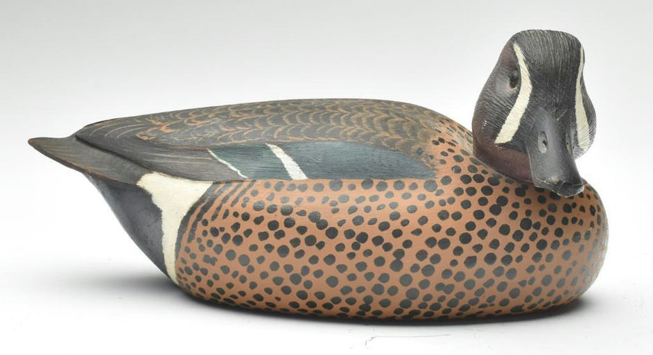 Corb Reed – Blue-winged Teal – 2023