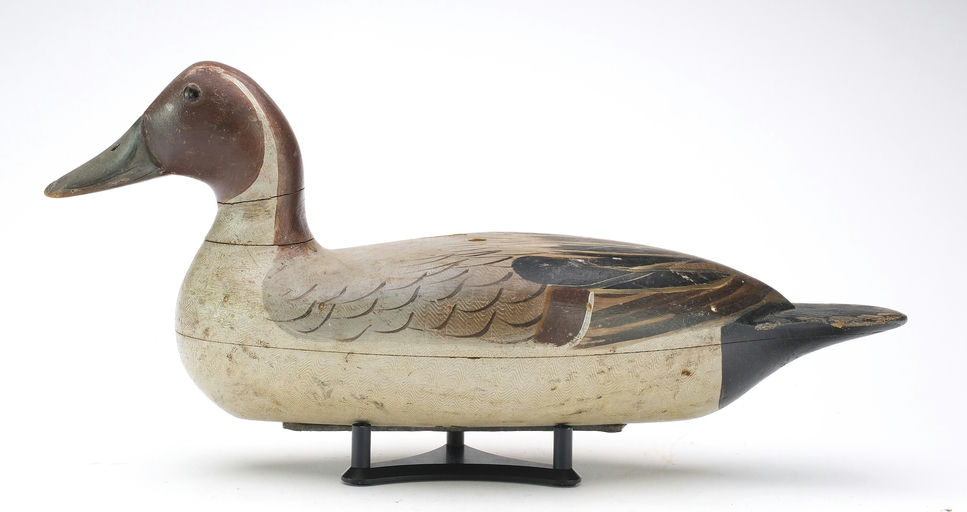 Bert Graves – Pintail – 2024