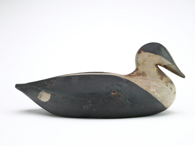 Gus Wilson – Eider – 2024