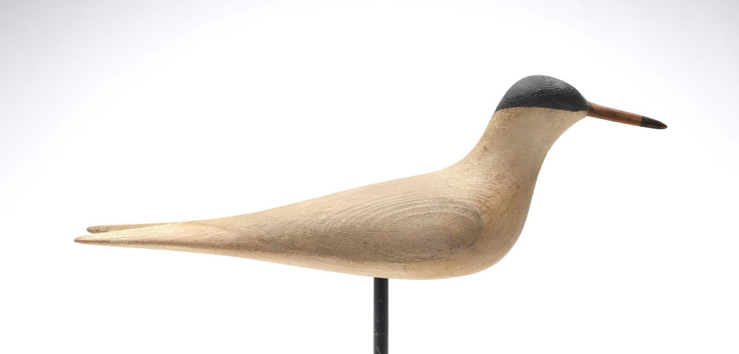 Mark McNair – Tern – 2026